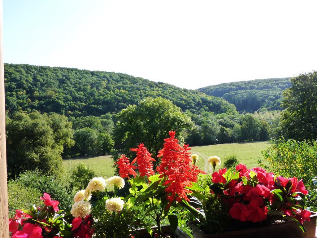La Maison De Cure Hotel Domecy-sur-Cure ภายนอก รูปภาพ